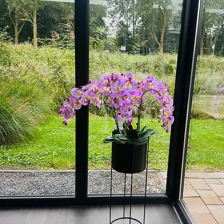 Stylish In Nature Near Amsterdam