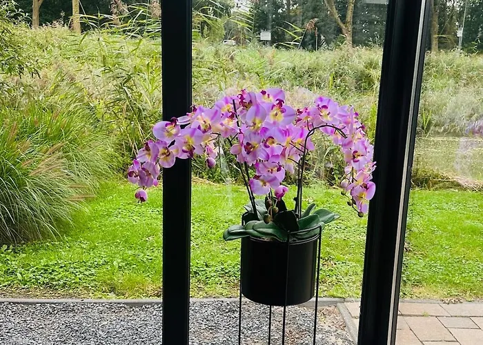 Stylish In Nature Near Amsterdam